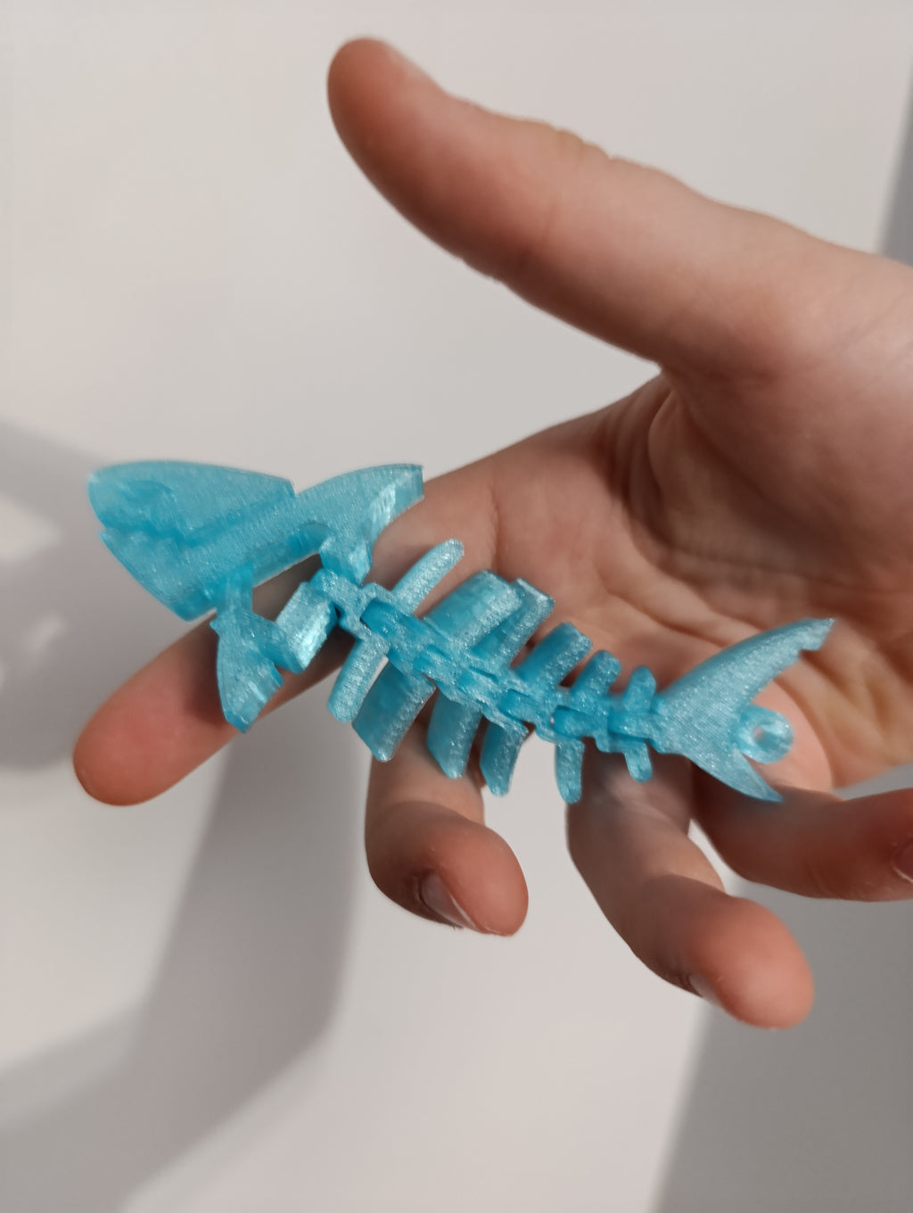 Flexi rekinek