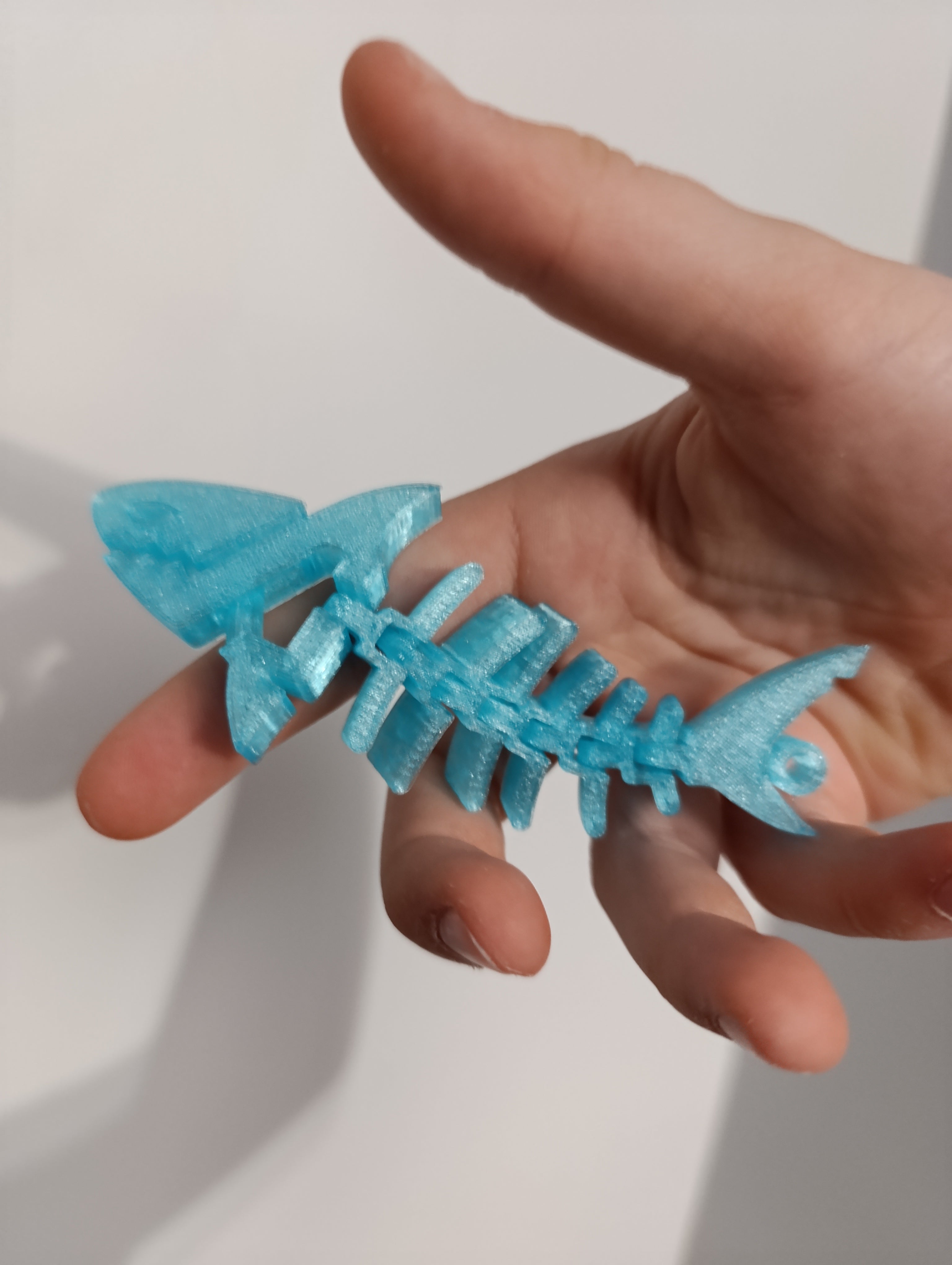 Flexi rekinek