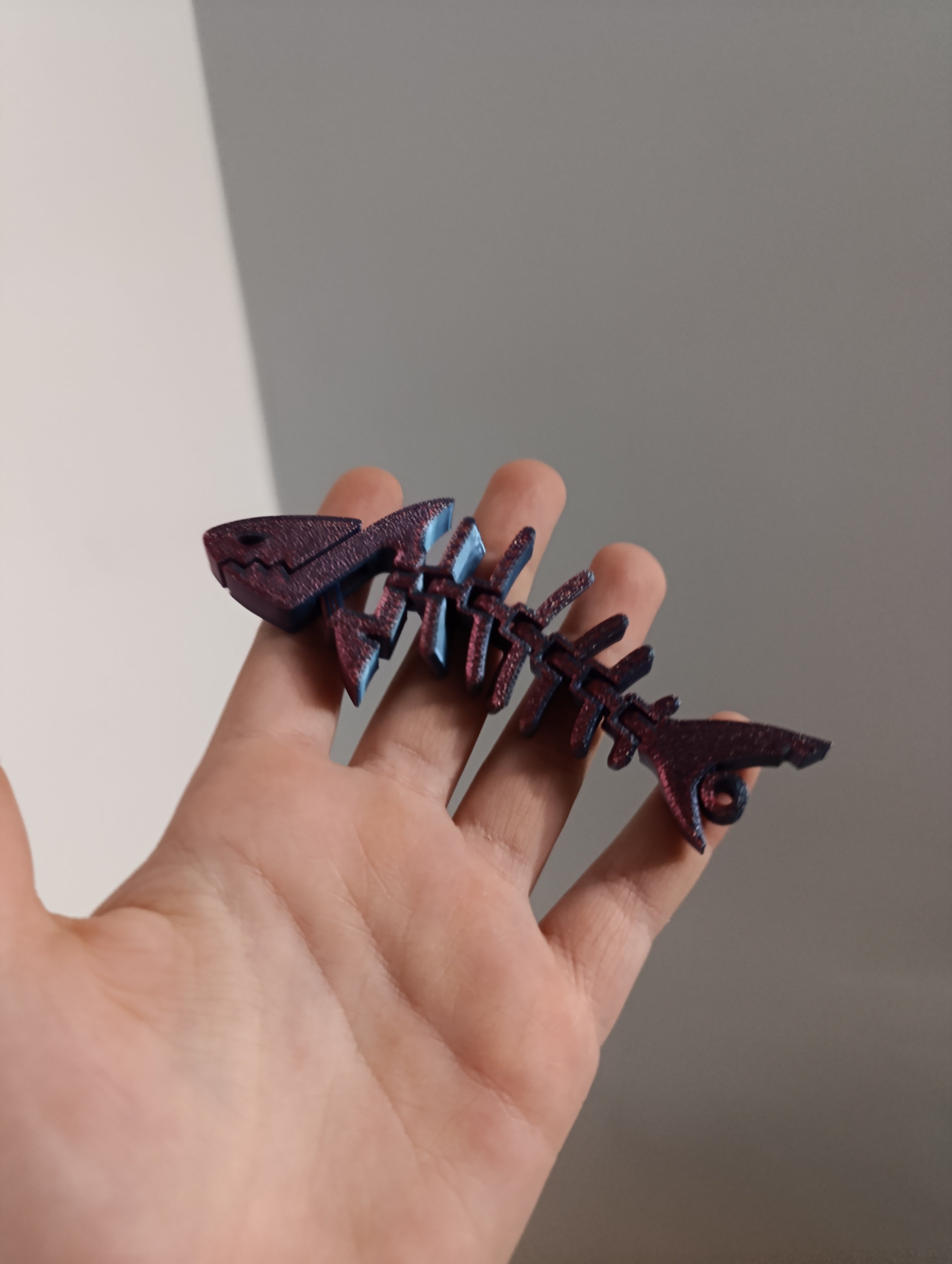 Flexi rekinek